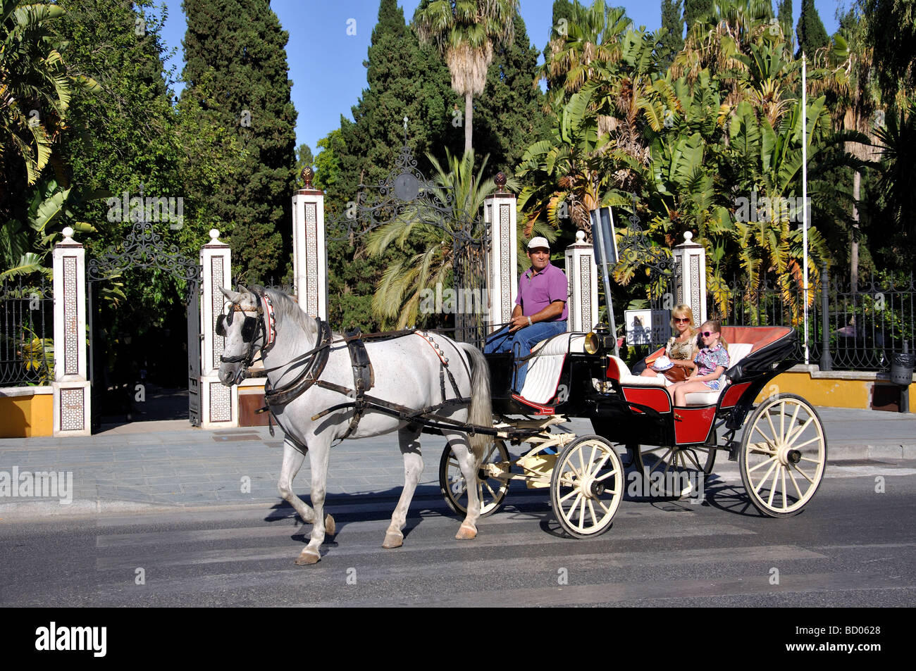 Balade en calèche à cheval, Vieille Ville, Marbella, Costa del Sol, la  province de Malaga, Andalousie, Espagne Photo Stock - Alamy