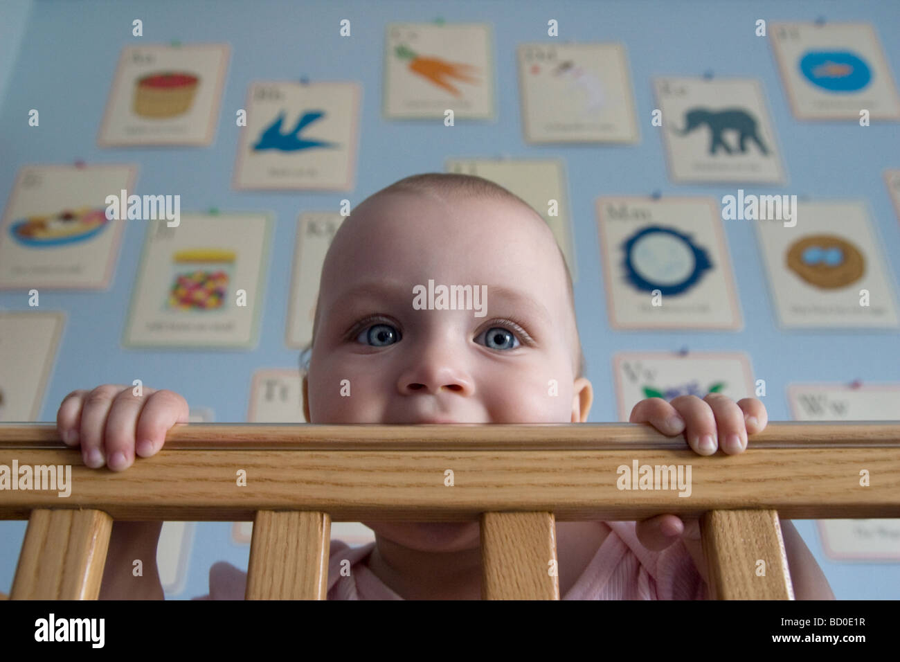 La Mastication Son Berceau Bebe Rampe Sebastopol Californie Photo Stock Alamy
