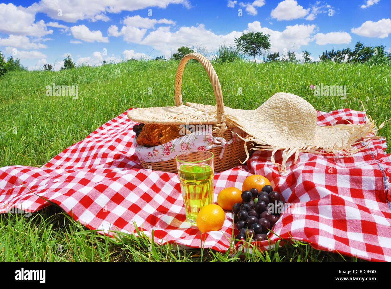 Paramètres de pique-nique on meadow Banque D'Images