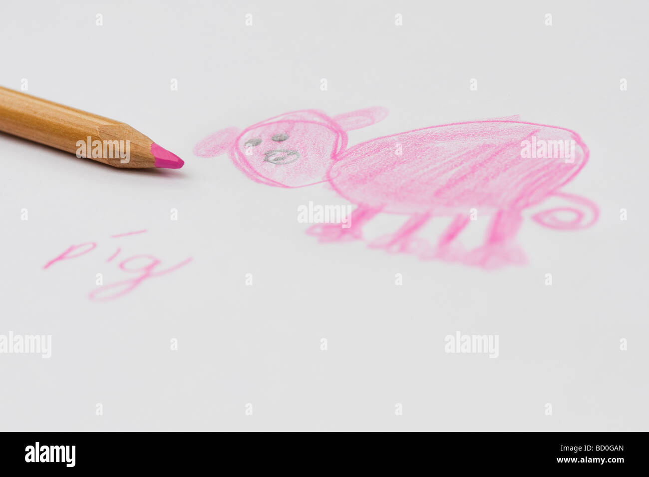 Dessin d'enfant d'un cochon avec un crayon à colorier Banque D'Images