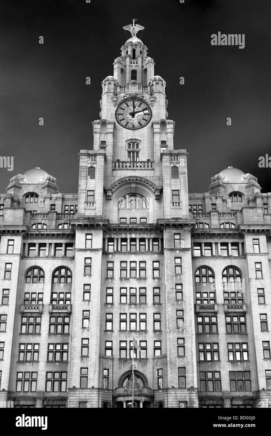 Le Royal Liver Building, Pier Head, Liverpool, Merseyside, Royaume-Uni Banque D'Images