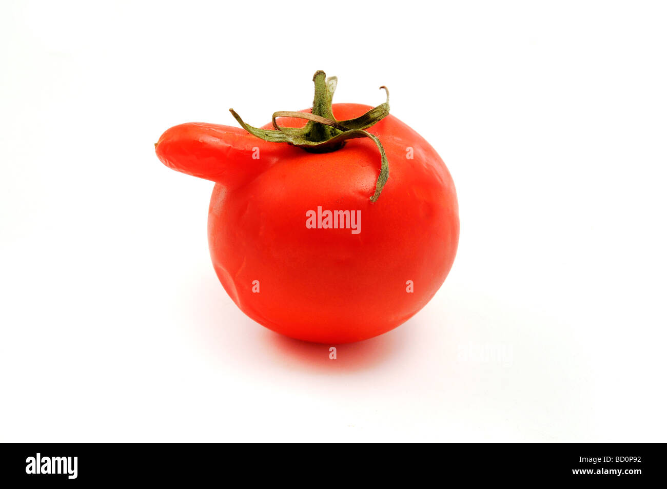 Tomate déformée sur un fond blanc Banque D'Images