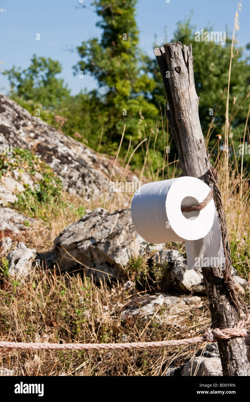 Papier toilette en milieu de forêt en Toscane Italie Banque D'Images