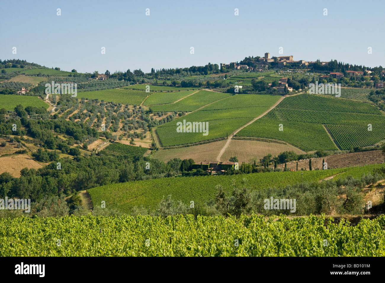 Paysage du village de Panzano et vignobles environnants en Toscane Italie Banque D'Images