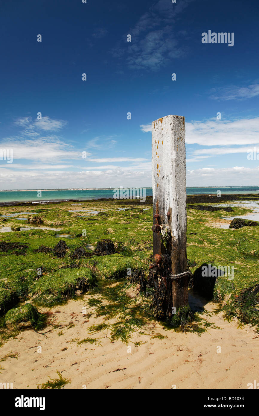 Vue de plages de sable dans la région de la baie de Colwell l'île de Wight Banque D'Images