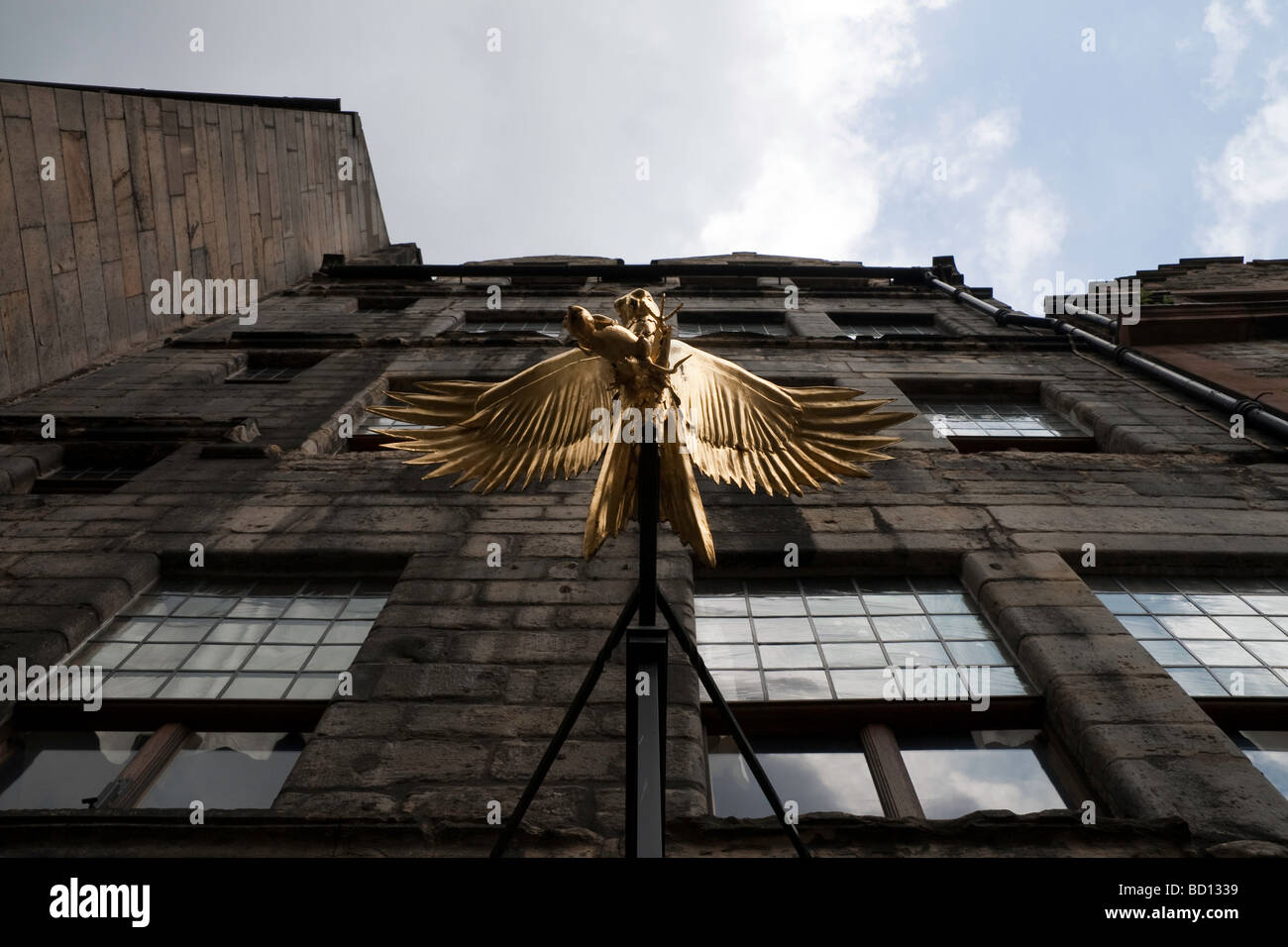 Un cuivre doré-hawk aux ailes déployées à l'extérieur de la Terre de Gladstone sur Royal Mile d'Édimbourg. Banque D'Images