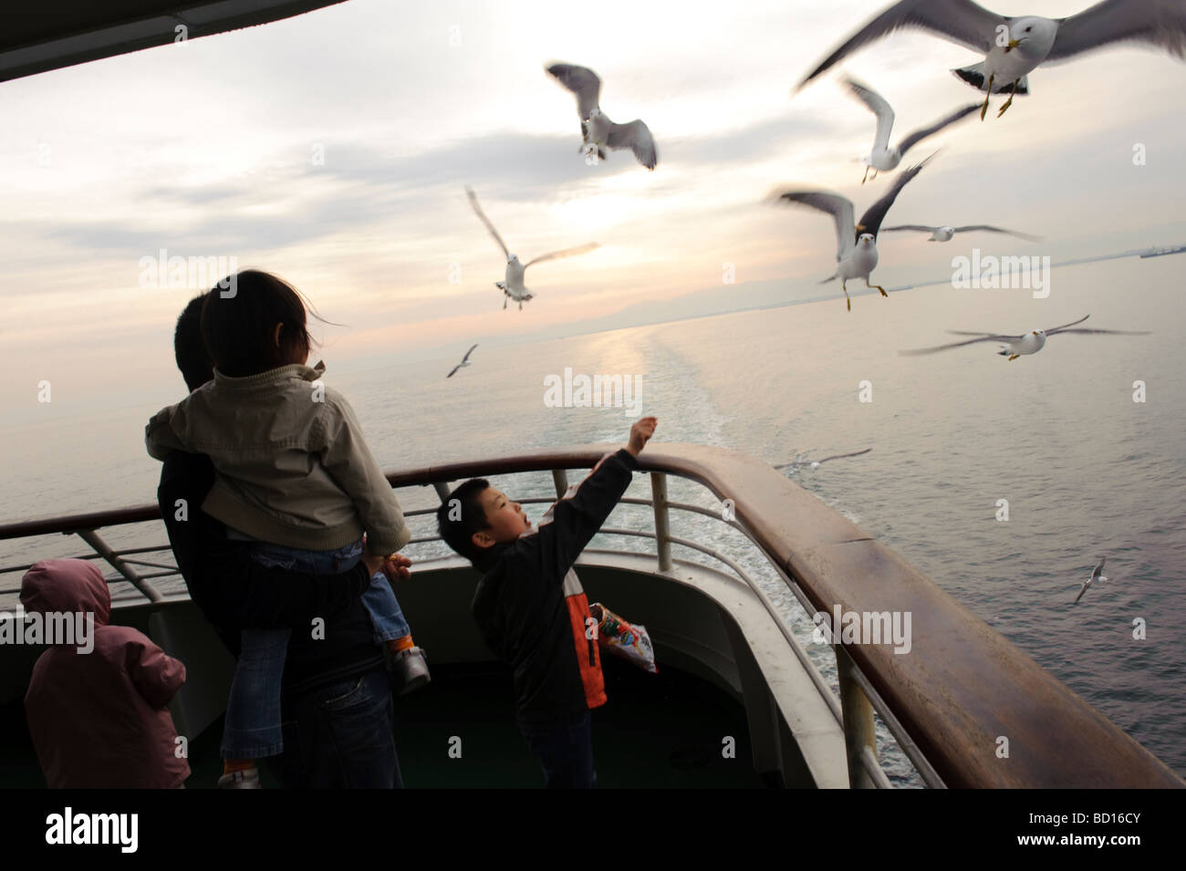 Nourrir les mouettes sur le ferry pour l'île de Sado, Niigata, Japon, 4 avril 2009. Banque D'Images