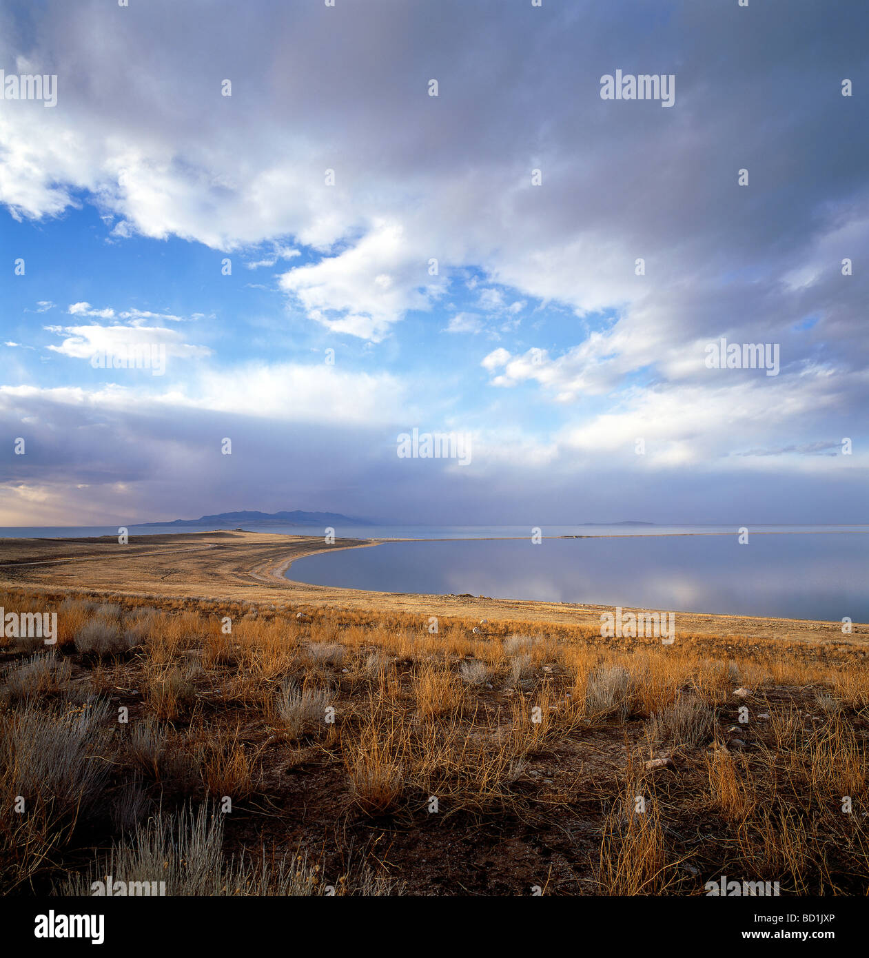 Vue nord de l'île d'antilope Grand Lac Salé en Utah USA Banque D'Images