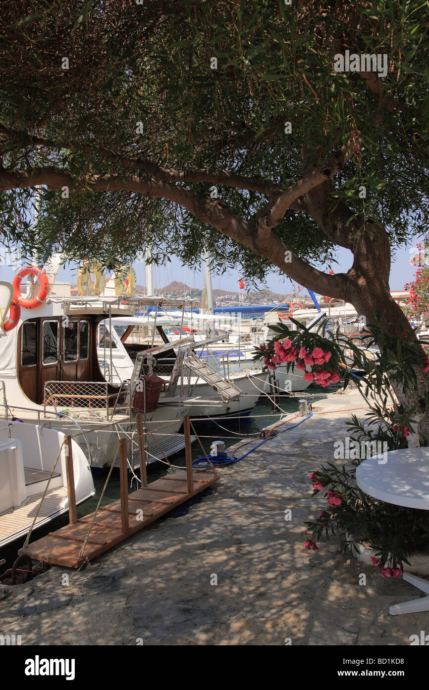 Yalikavak, péninsule de Bodrum, Turquie Banque D'Images