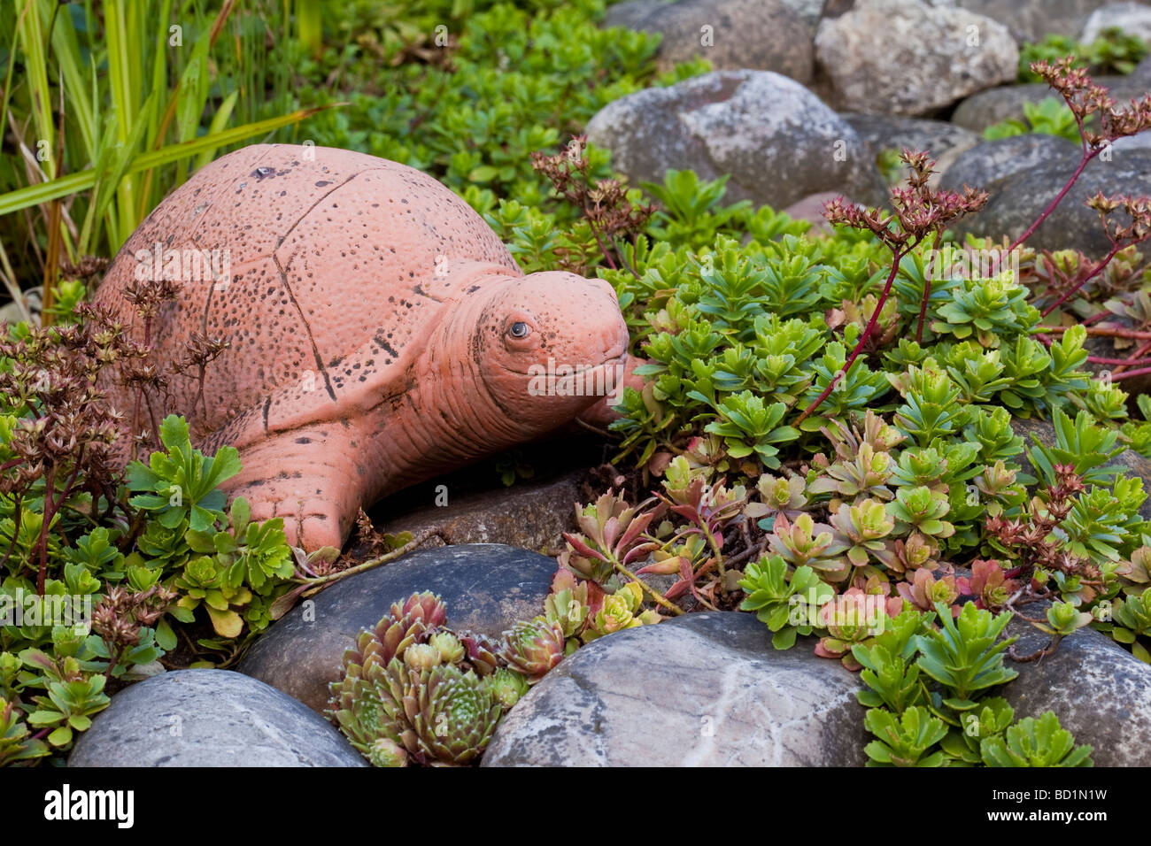 Tortue en pierre dans un jardin de roche Banque D'Images