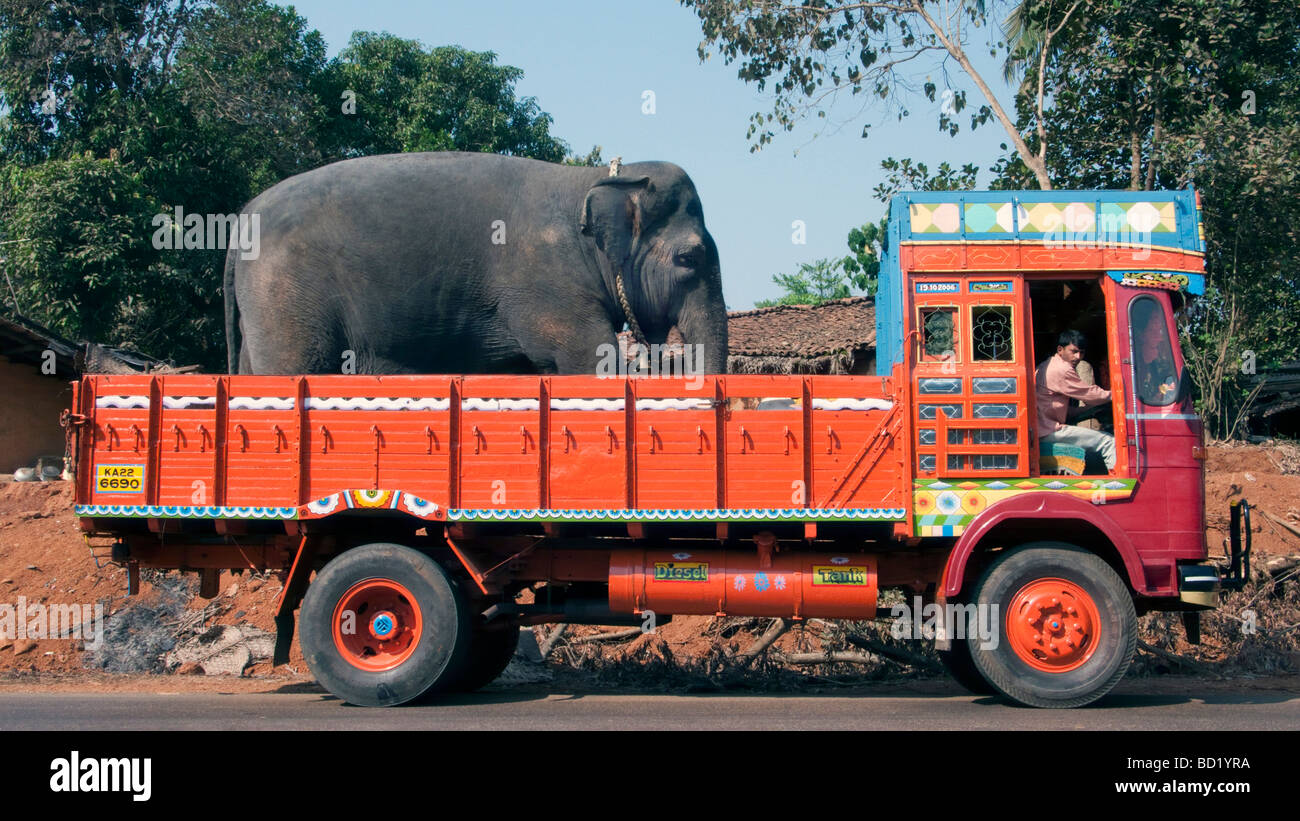 Elephant lorry truck transport Banque de photographies et d’images à