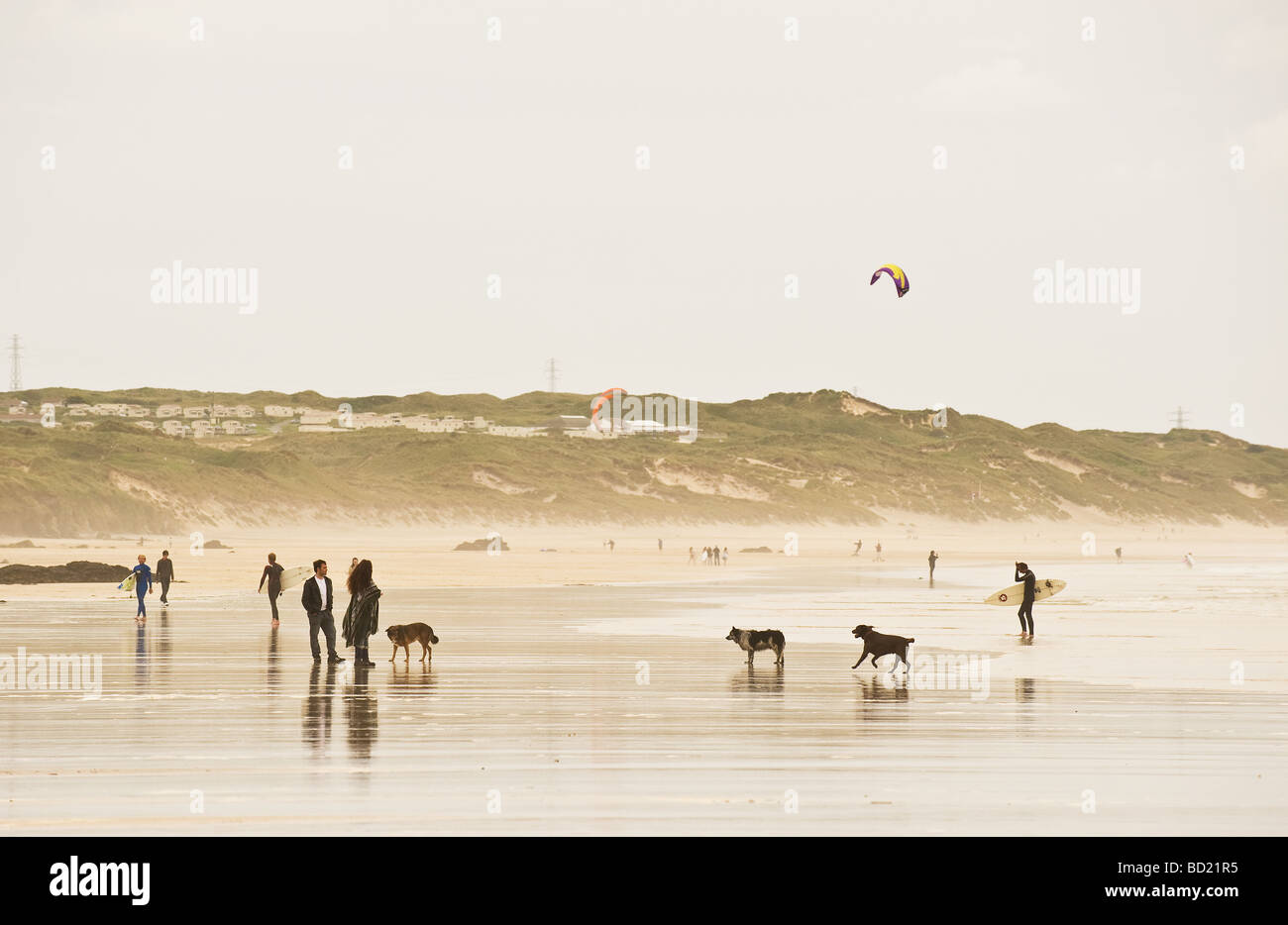 Les gens et les chiens sur la plage Towans Gwithian à Cornwall. Banque D'Images