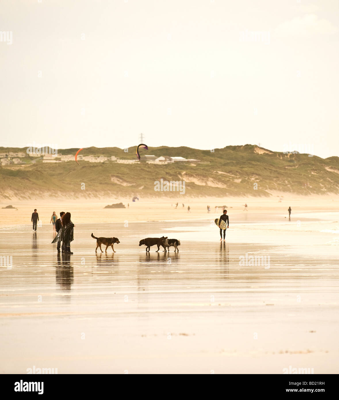 Les gens et leurs chiens sur la plage Towans Gwithian à Cornwall. Photo par Gordon 1928 Banque D'Images