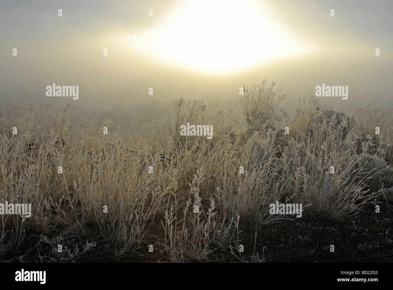 Lever du soleil sur un matin brumeux, très froid sur le Gariep River dans l'État libre, en Afrique du Sud. Banque D'Images