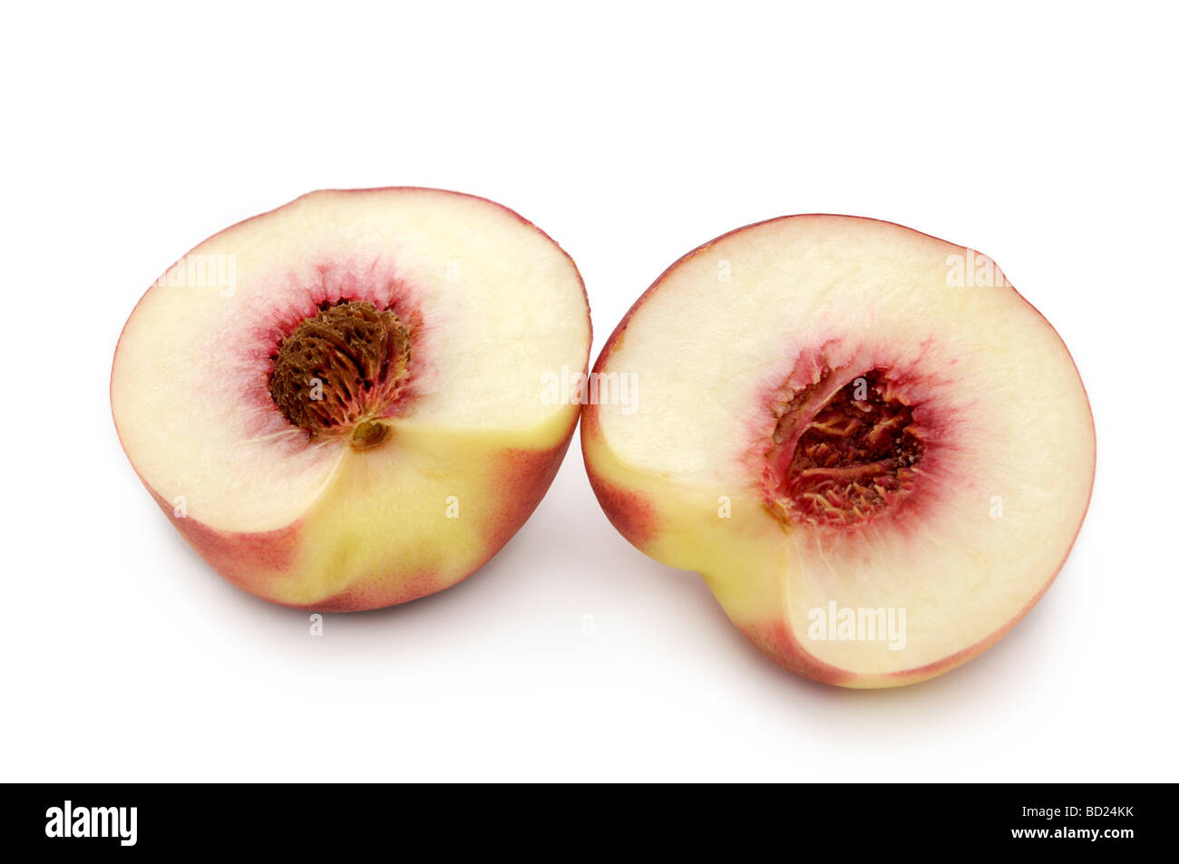 Pêche blanche, à chair blanche pêche (Prunus persica) Banque D'Images