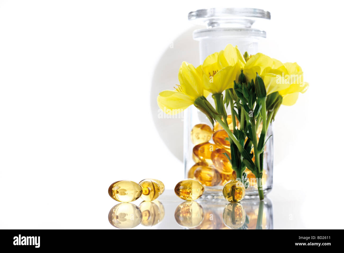 Commune de plantes médicinales ou étoile du soir d'onagre (Oenothera biennis), et les pharmaciens bouteille contenant des capsules Banque D'Images