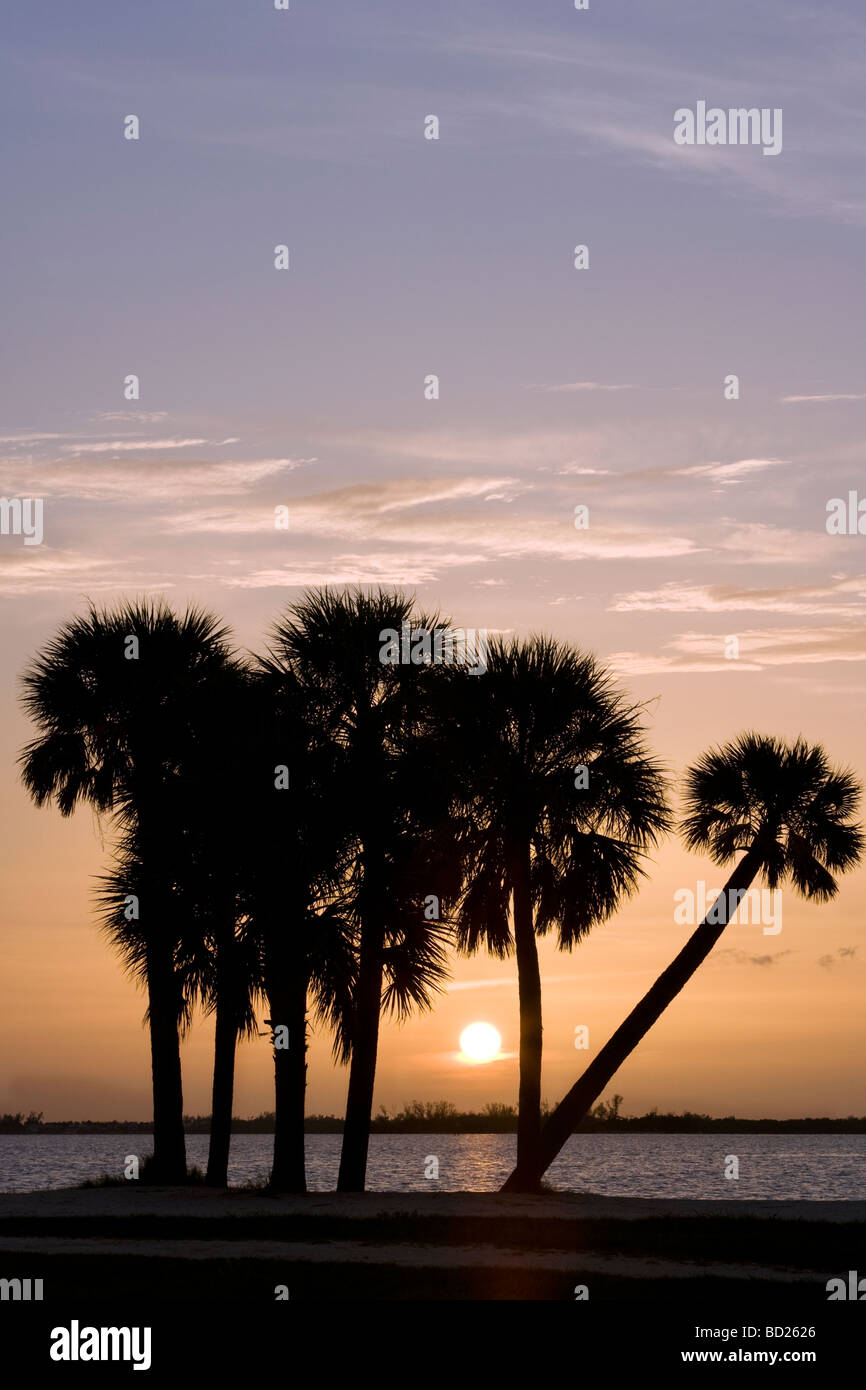 Palmiers au coucher du soleil - l'île de Sanibel Causeway - Sanibel Island, Floride Banque D'Images