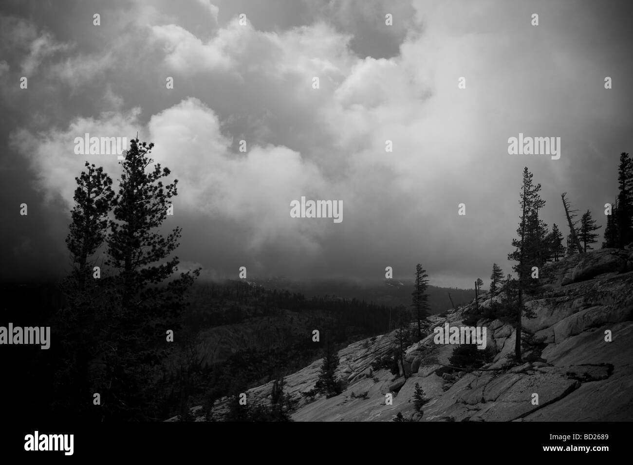 Approche de la Sierra, tempête, Tuolumne Meadows Yosemite Banque D'Images