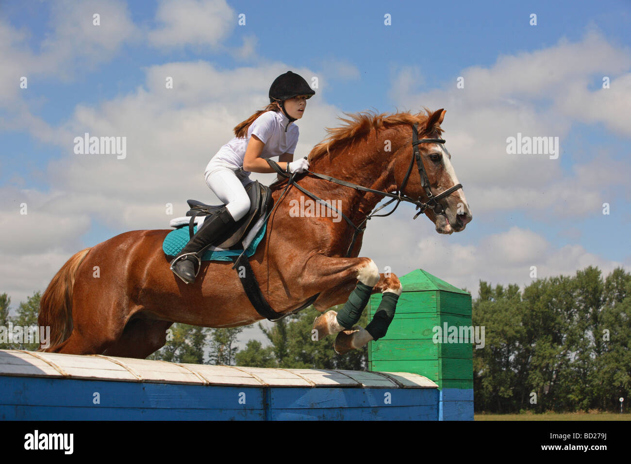Jeune dame-cavalier sautant sur le dos d'un cheval Don russe Banque D'Images