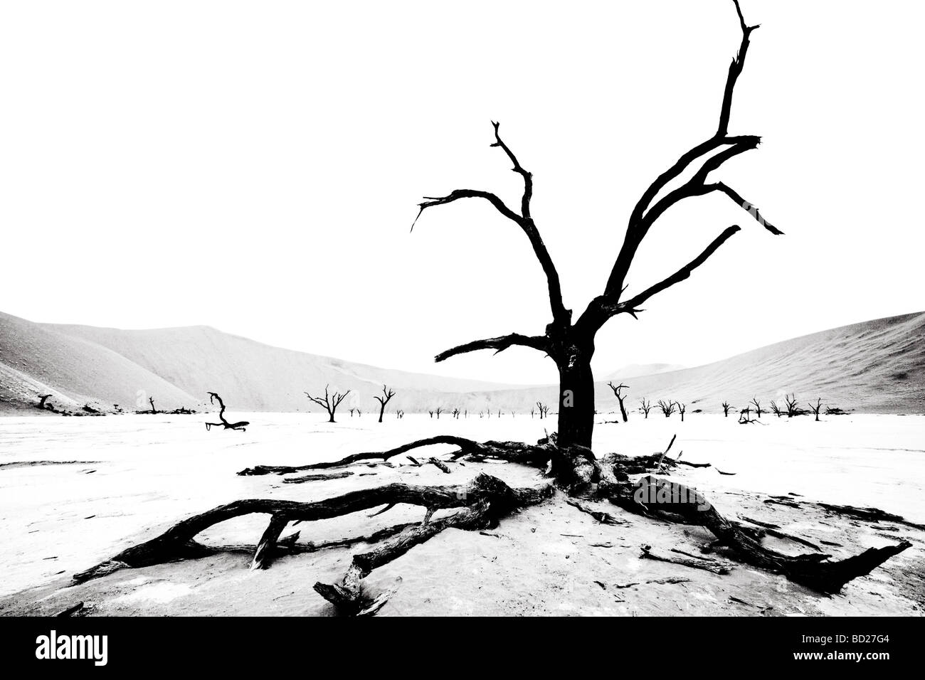 Arbres morts de Deadvlei près de Sossusvlei dans le Namib Namibie dersert Banque D'Images