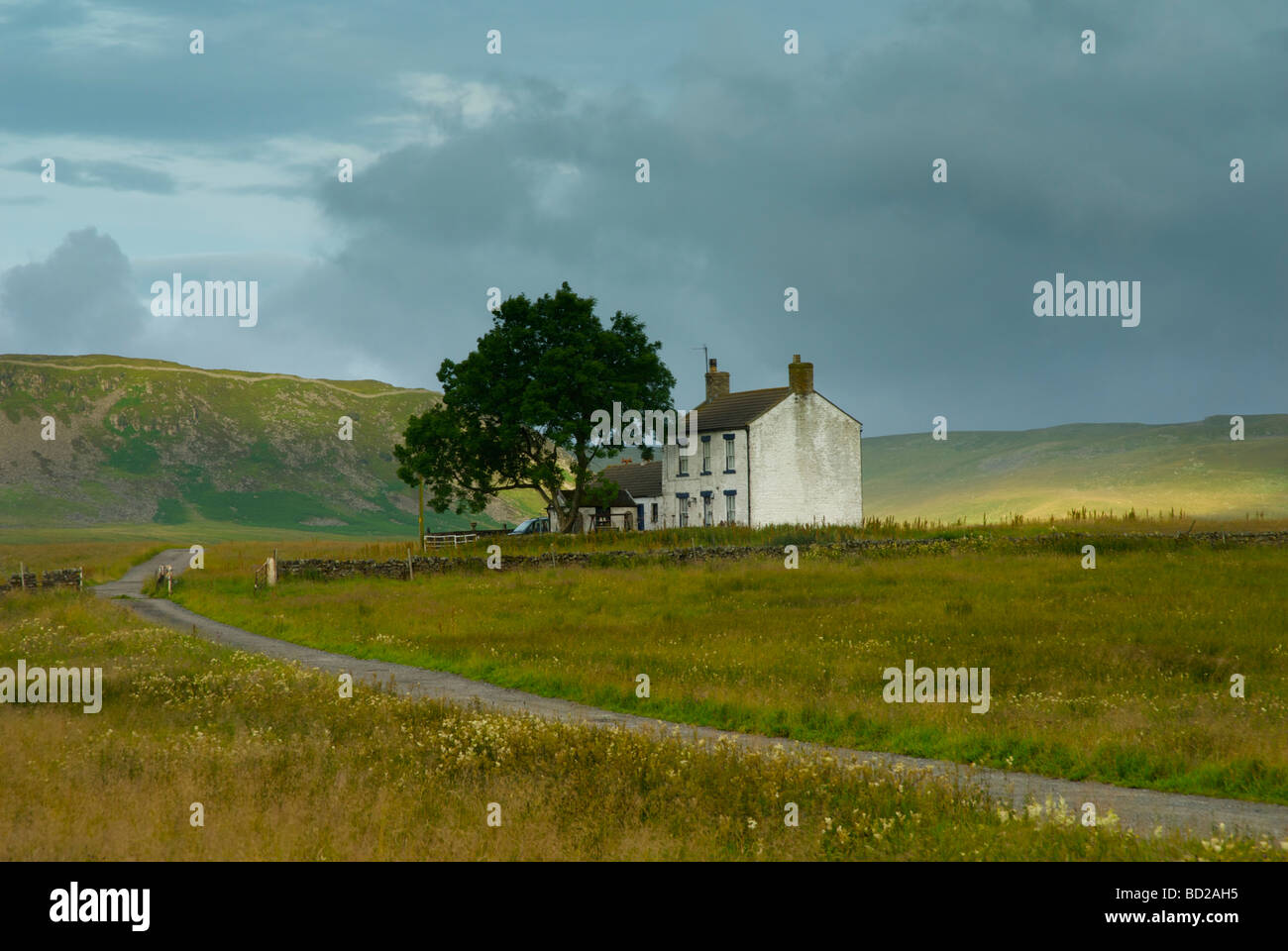 Ferme traditionnelle, la région de Teesdale, County Durham, England UK Banque D'Images