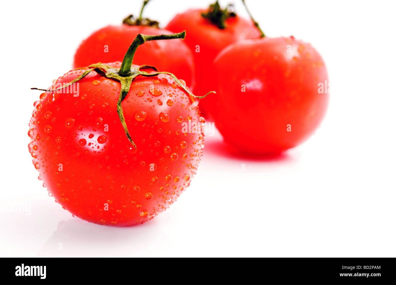 Tomato isolated on white Banque D'Images