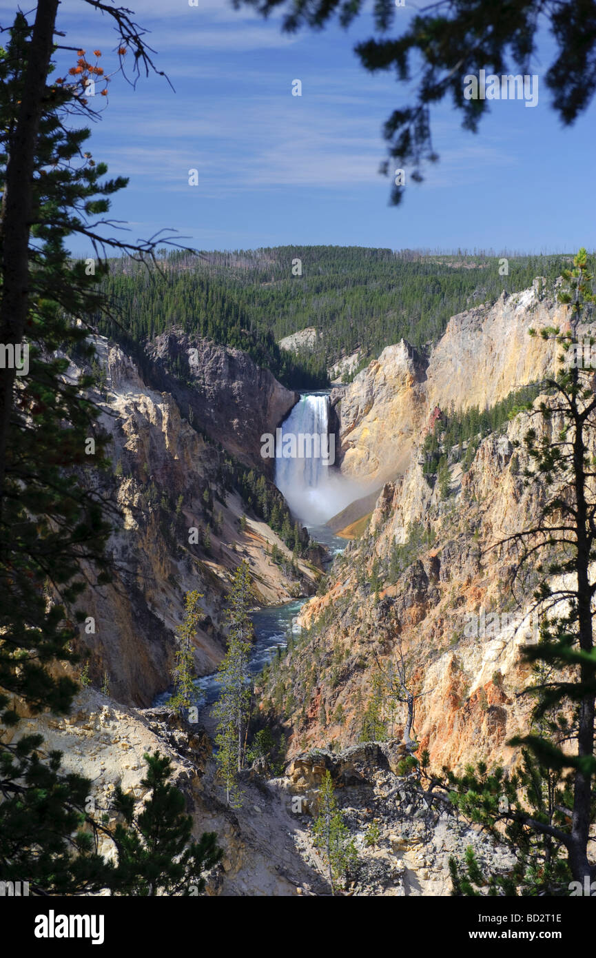 Grand Canyon de Yellowstone Yellowstone Falls et le Parc National de Yellowstone au Wyoming USA Banque D'Images