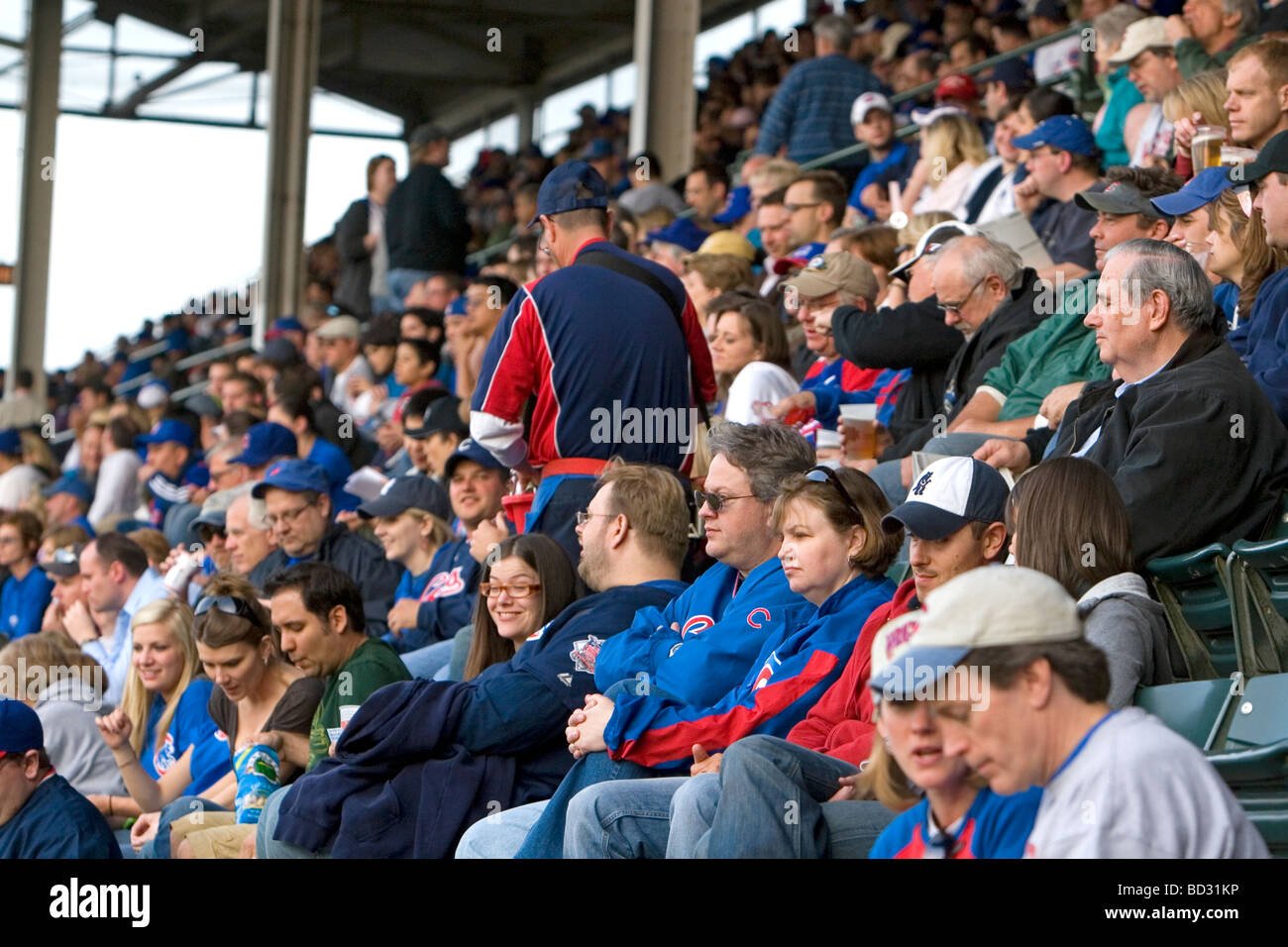 Fans des Cubs de Chicago à Wrigley Field de Chicago Illinois USA Banque D'Images