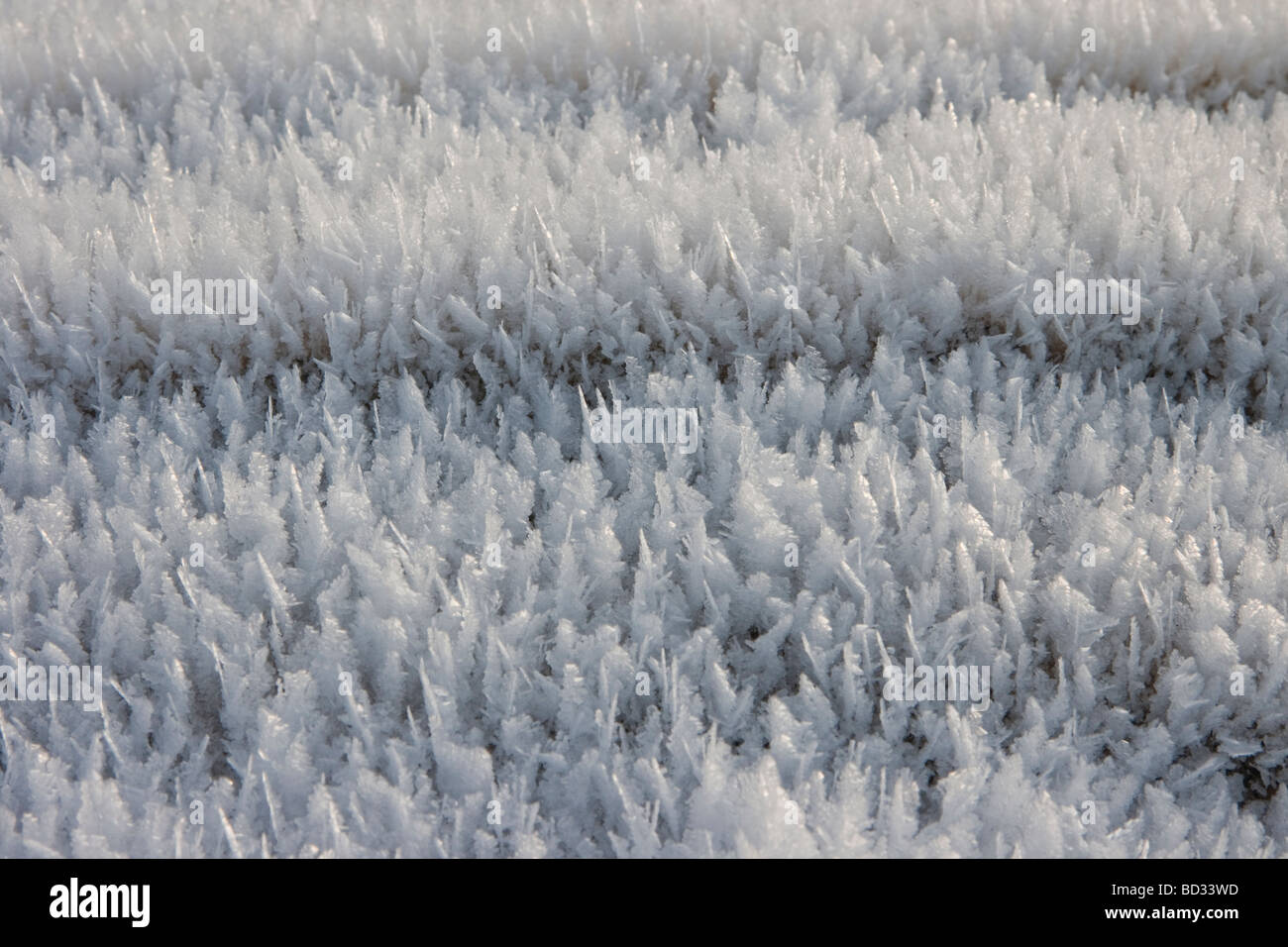 Cristal de glace en hiver à Järvenpää en Finlande Banque D'Images