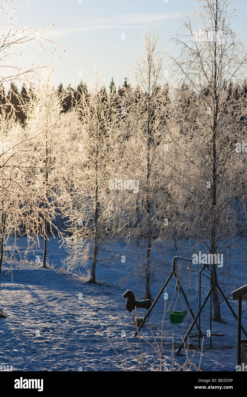 Les arbres gelés au lever du soleil en hiver en Finlande Banque D'Images