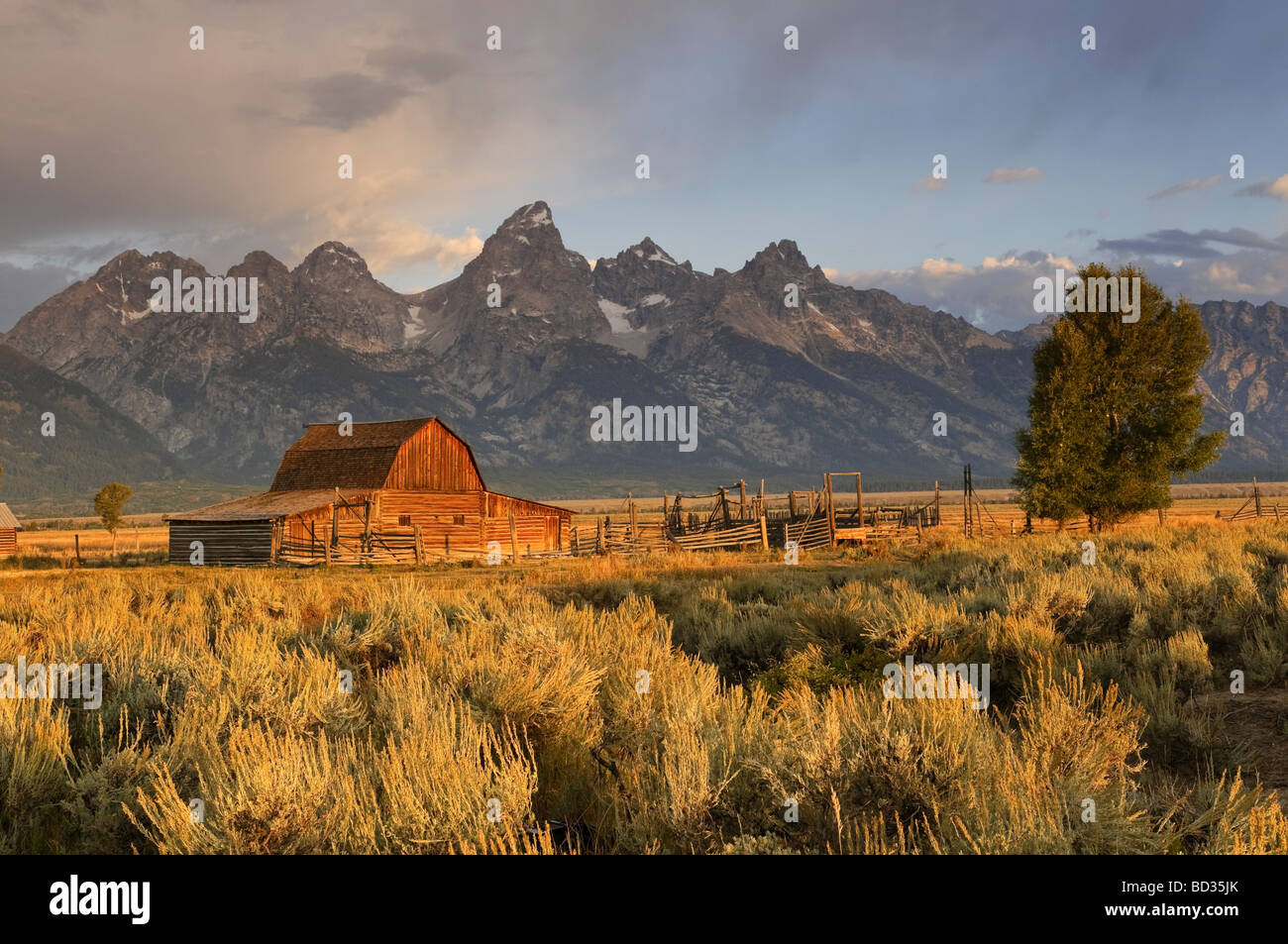 Grange historique sur Mormon Row et Teton Mountain Range Parc National de Grand Teton Wyoming USA Banque D'Images