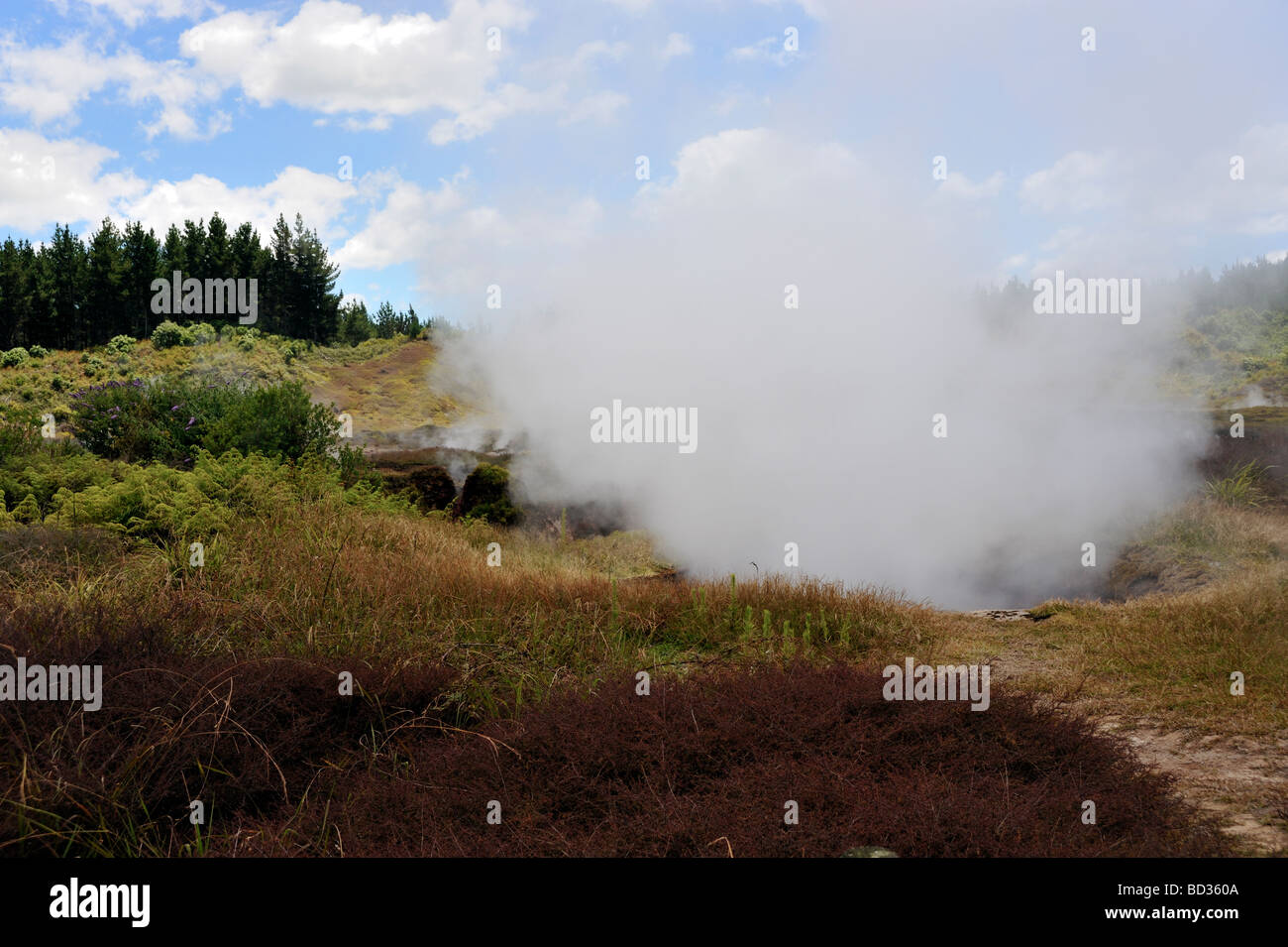 Cratères de la Lune dans la zone thermique parc touristique de Wairakei Taupo Nouvelle Zélande Banque D'Images