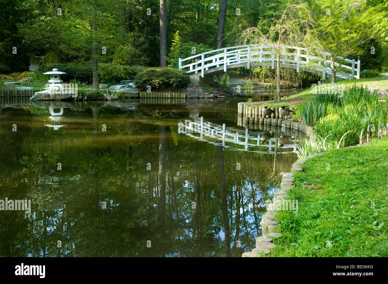 Jardin japonais Banque D'Images