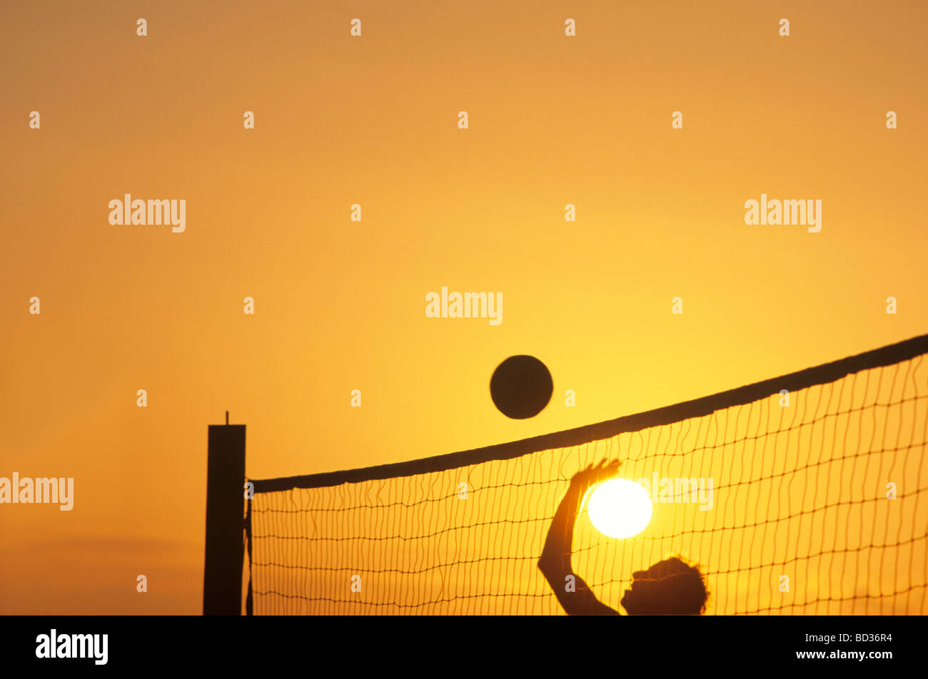 Joueur de volley-ball et Sun Banque D'Images