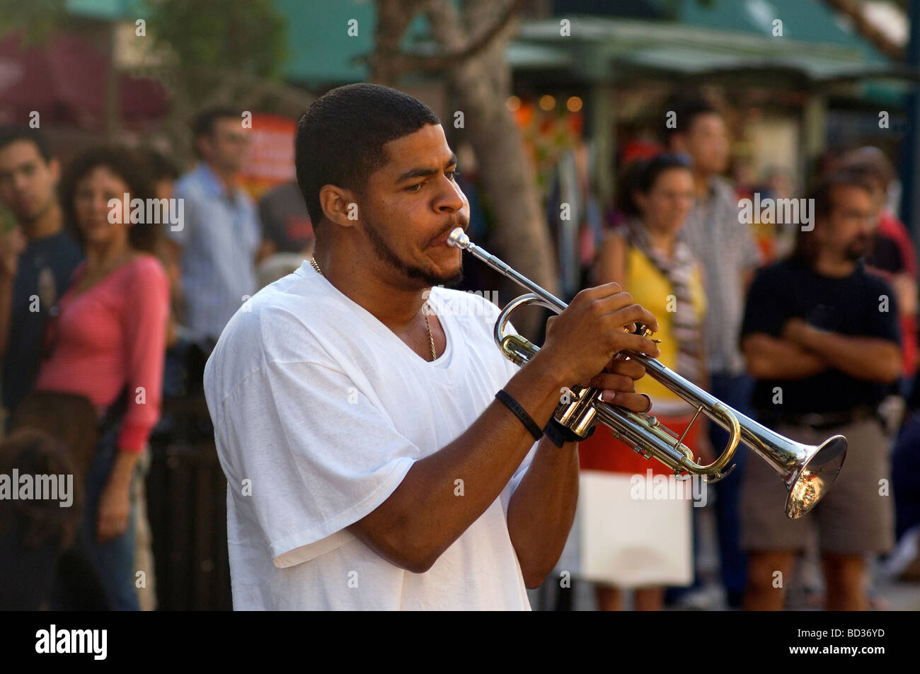 Musicien de rue Banque D'Images