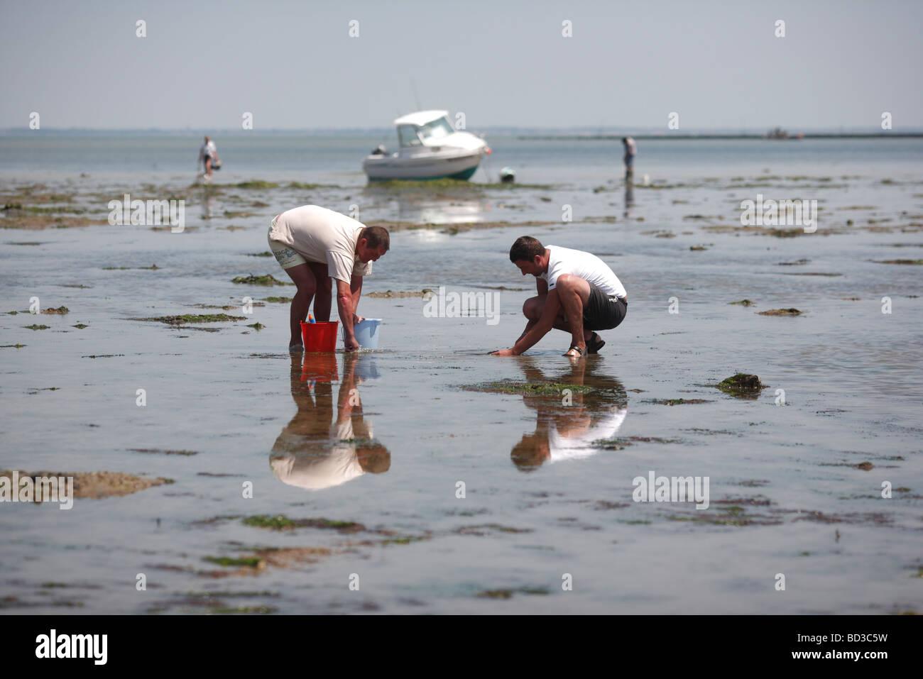 Le Crotoy La Plage A Maree Basse au Crotoy