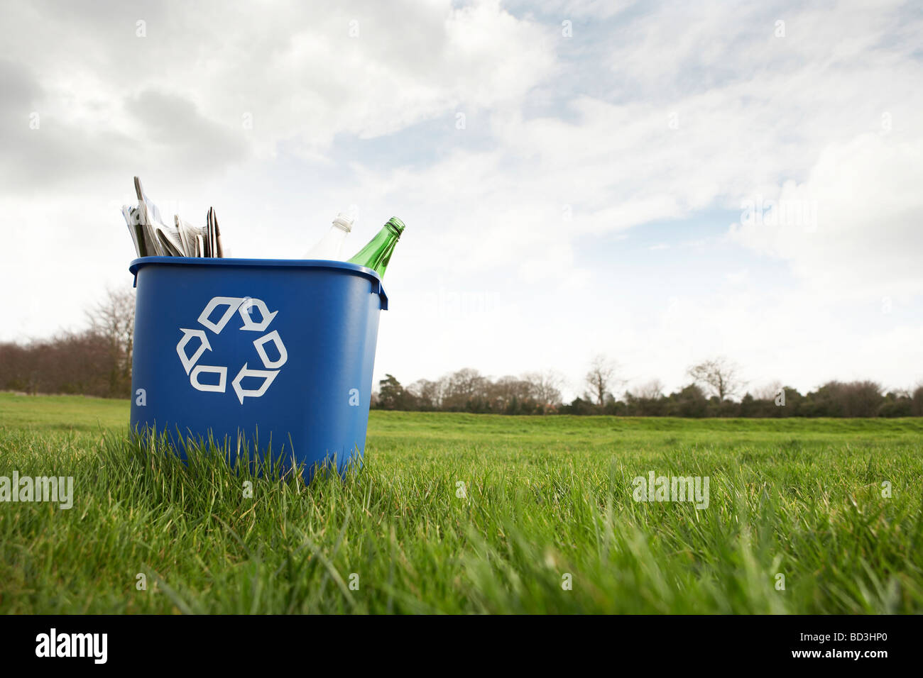 Bac de recyclage bleu sitting on grass Banque D'Images