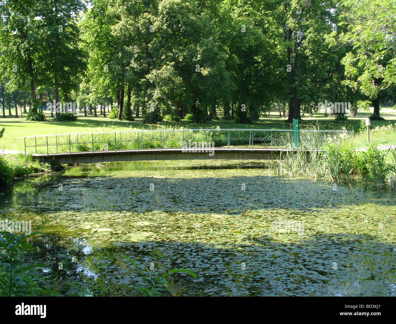Jardin anglais de l étang à Drottningholm, Stockholm Banque D'Images