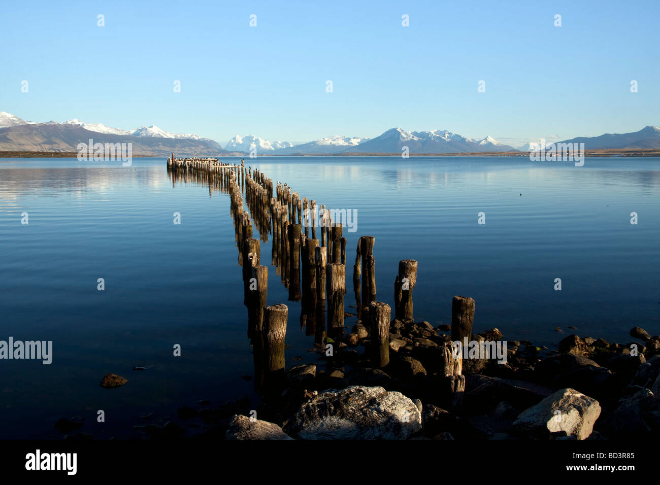 Les cormorans se percher sur l'ancienne jetée à Puerto Natales, Chili Banque D'Images