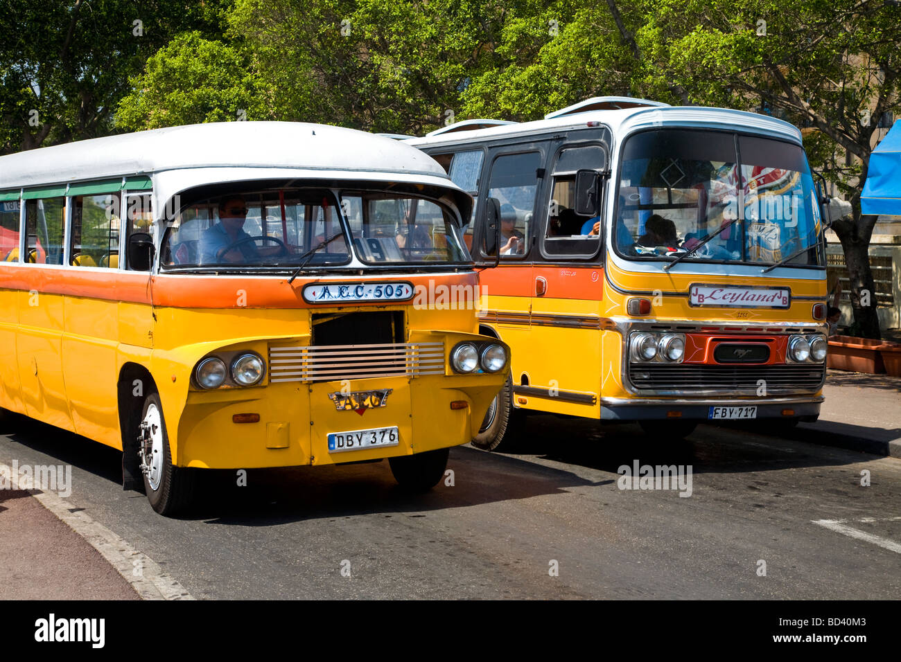 505 AEC et corsé 1953 Bedford bus à la gare routière de La Valette, Malte, l'Union européenne. Banque D'Images