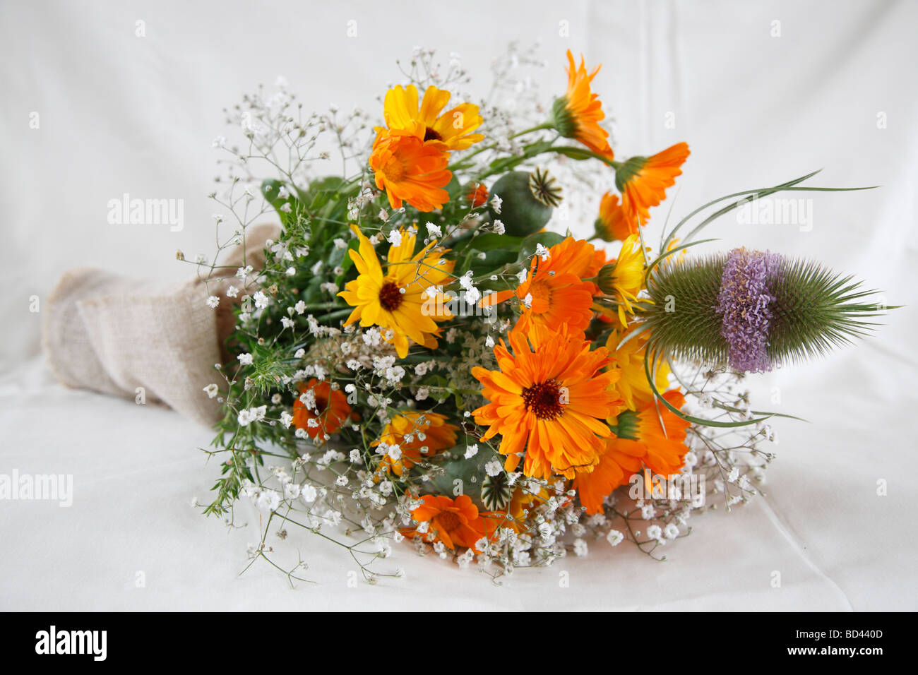 Bouquet de mariée ; le souci (Calendula officinalis) et de cardère (Dipsacus fullonum) Banque D'Images