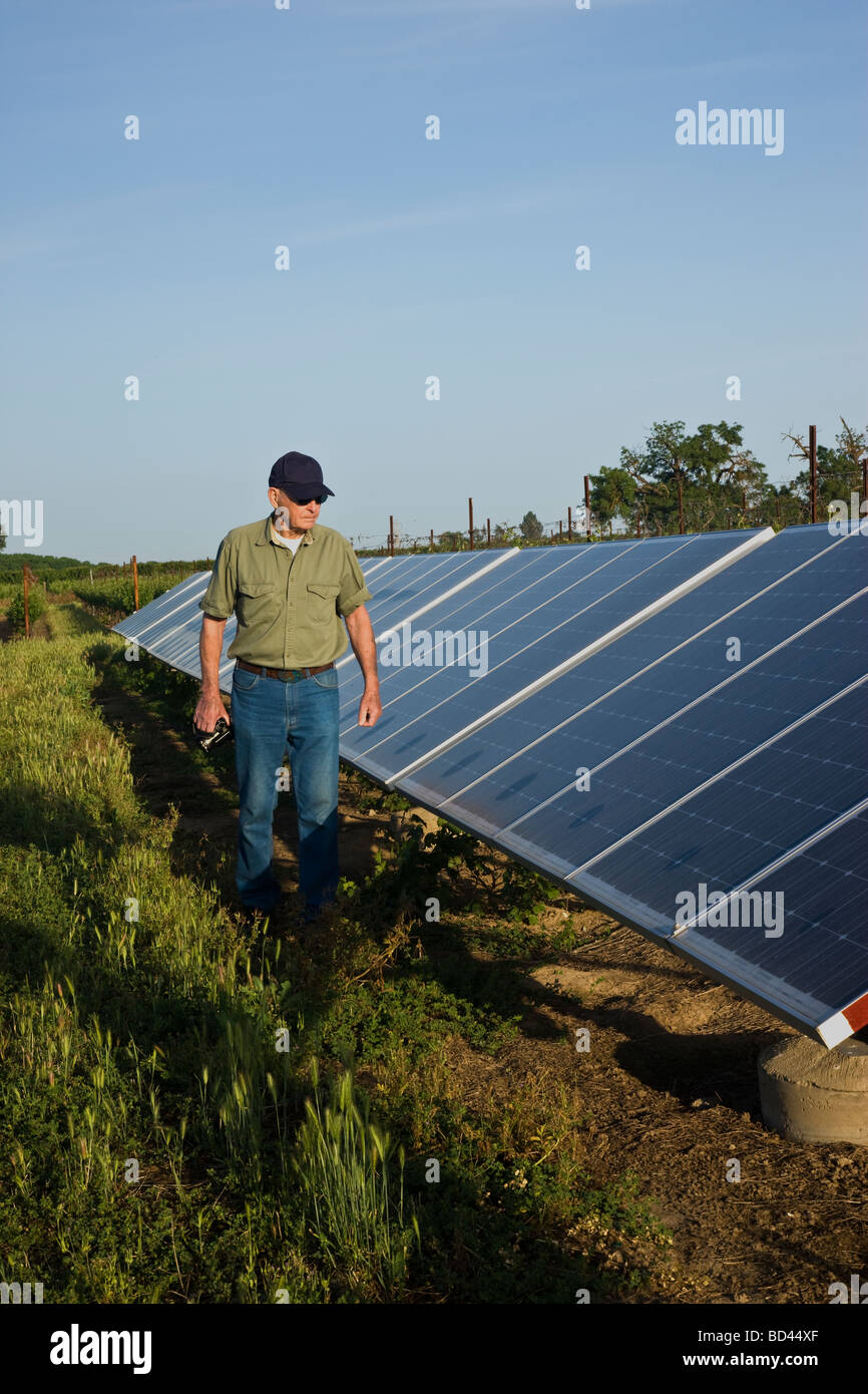 L'inspection d'exploitation technicien documentant des panneaux solaires. Banque D'Images