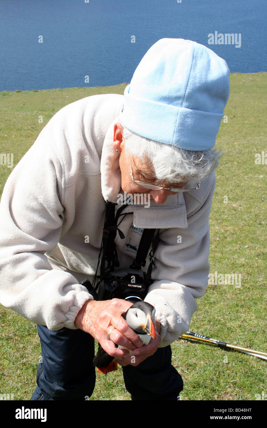 Manutention touristique sur Macareux Fair Isle en Ecosse Banque D'Images