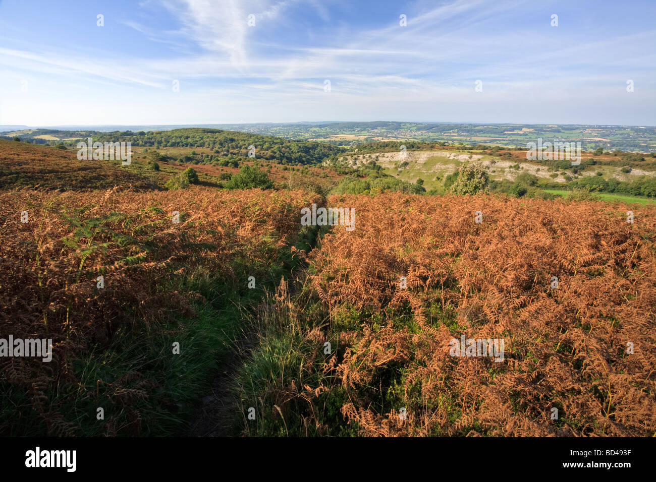 En direction nord depuis le bas noir les collines de Mendip Somerset England UK Banque D'Images
