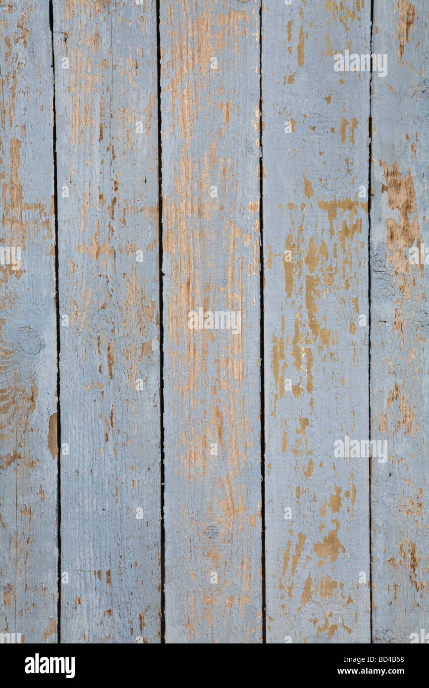Peinture bleu grunge sur un panneau de bois. Banque D'Images