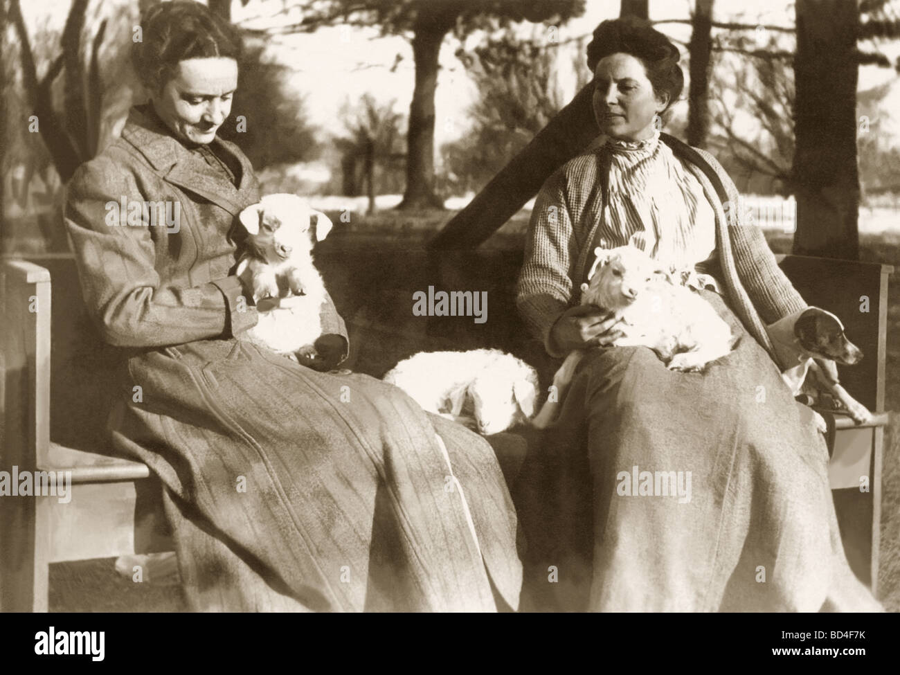 Deux femmes Holding Baby agneaux sur un banc Banque D'Images