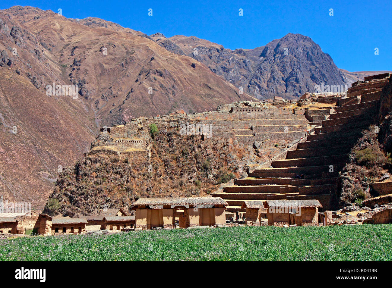 Les ruines Inca de Ollantaytambo, Pérou, Amérique du Sud Banque D'Images