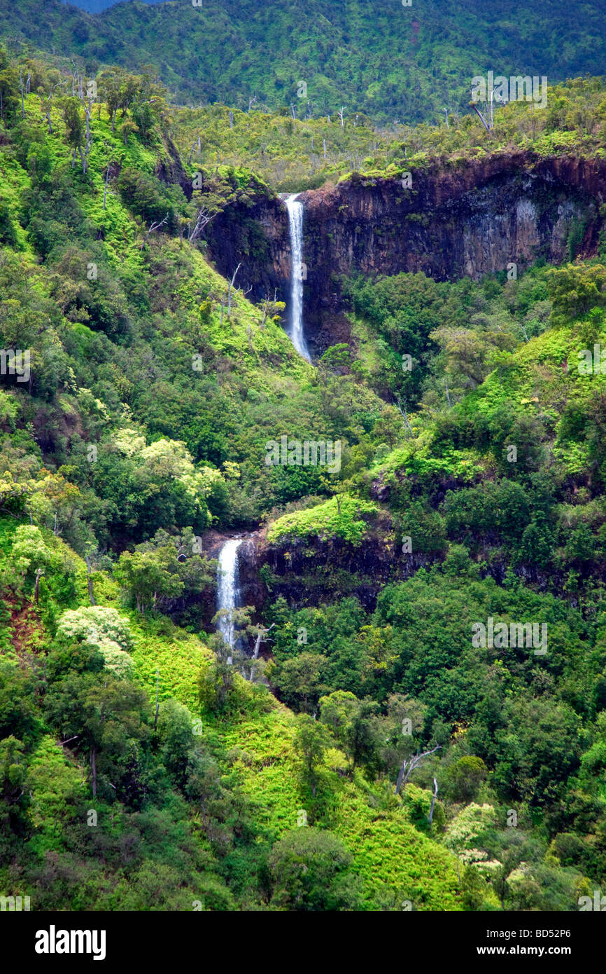 Kahili Falls cinq soeurs falls in Banque D'Images