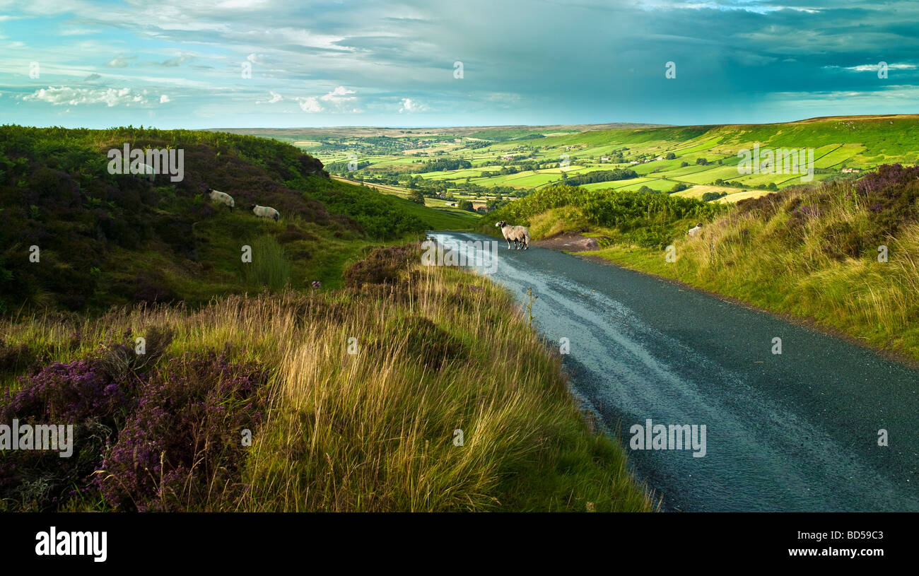 Danby Dale en été, North York Moors National Park Banque D'Images