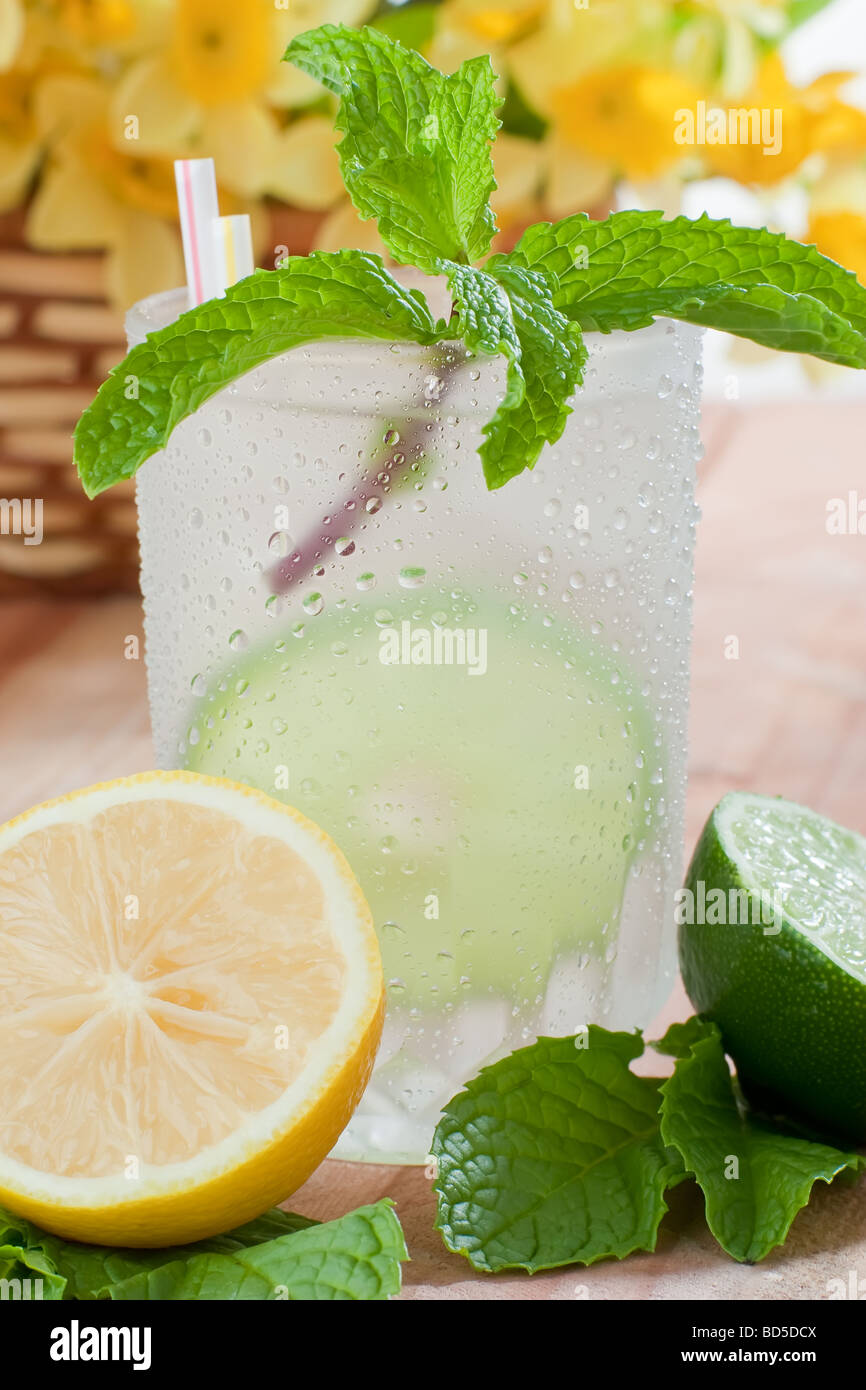 Prise d'un verre de boisson fraîche avec de lime et citron à côté Banque D'Images